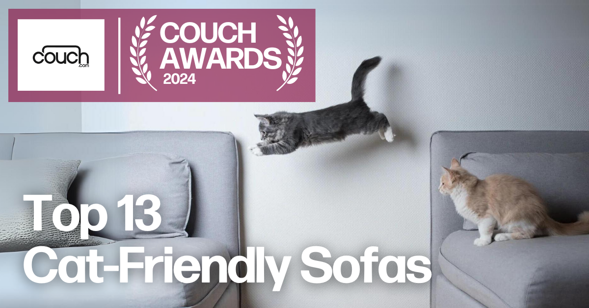 Top 13 Cat Friendly Couches for Pet Owners Stop Chasing Your Tail Around Couch