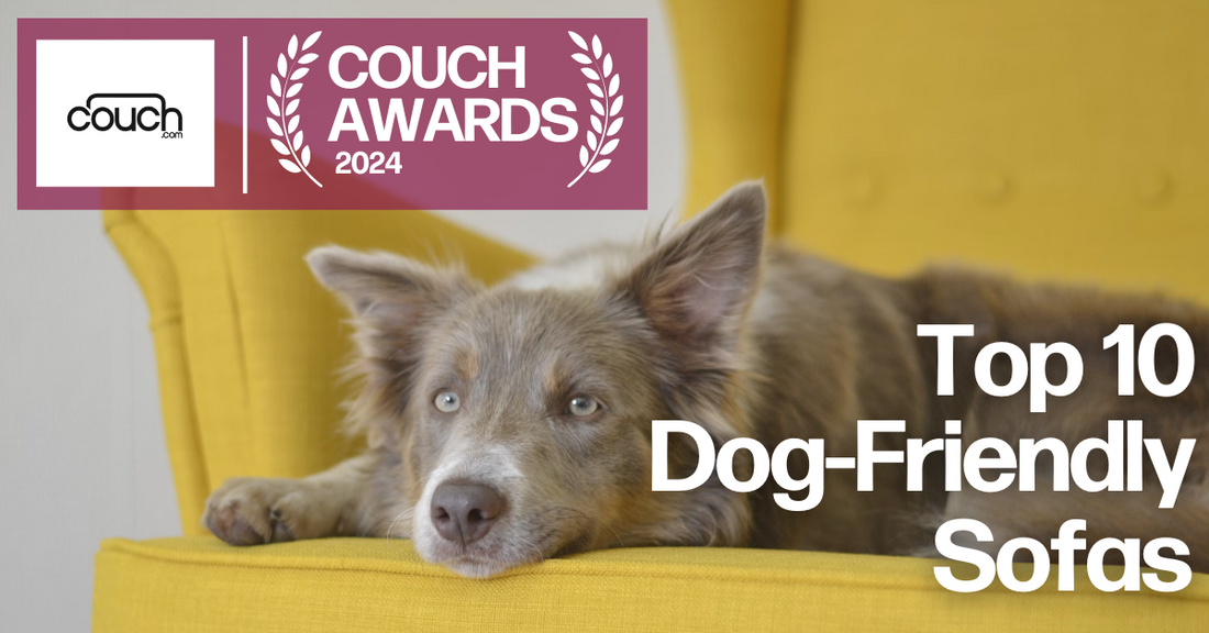 Couch Awards 2024: Top 10 Dog-Friendly Couches