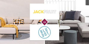 Jackfruit vs Blu Dot