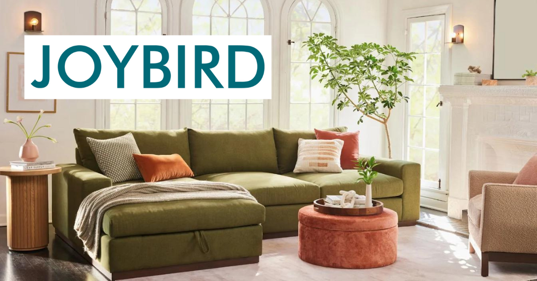 Joybird Couch Buying Guide: Top 20 Questions Answered