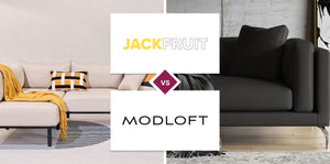 Jackfruit vs Modloft