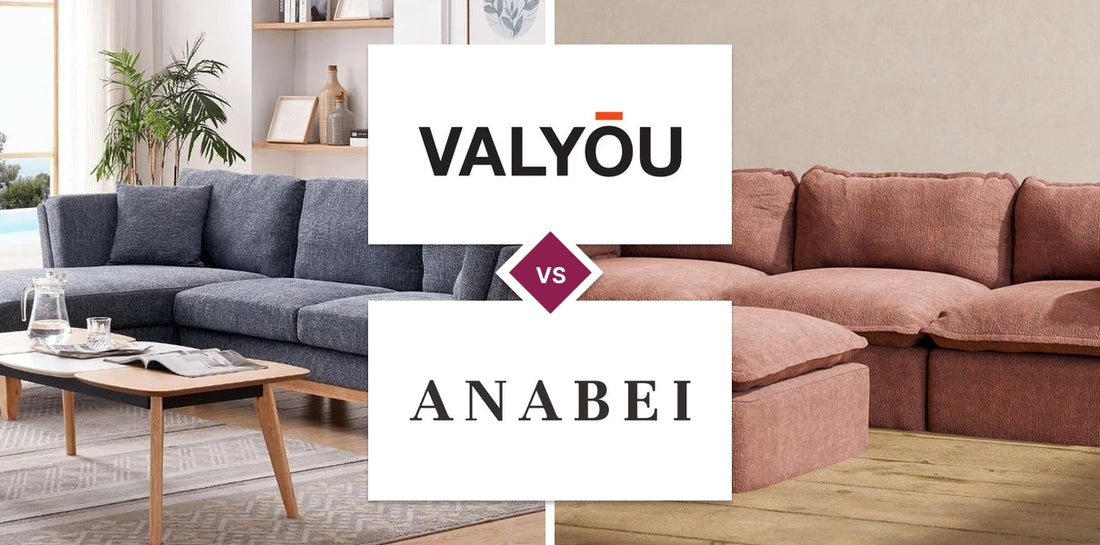 Valyōu vs Anabei