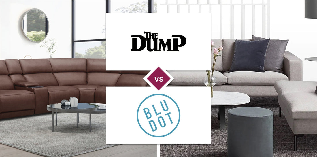 The Dump vs Blu Dot