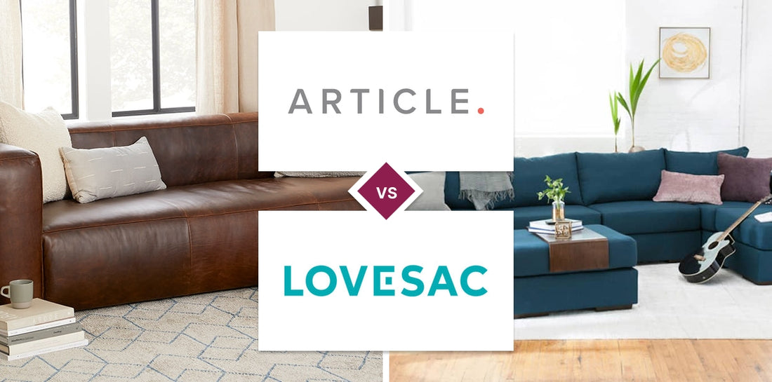 Article vs Lovesac