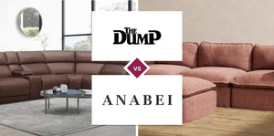 The Dump vs Anabei