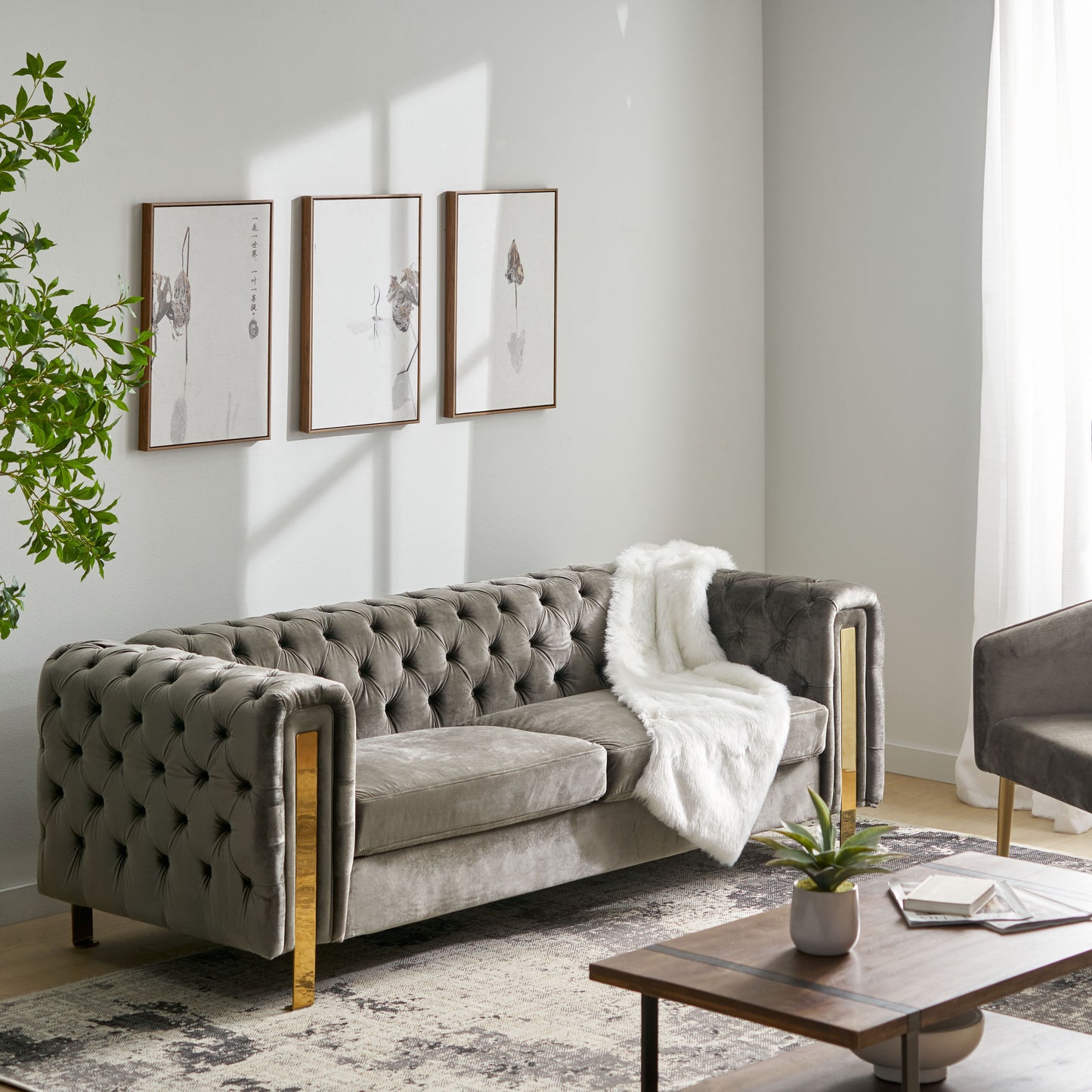 A modern living room boasts the Comfy 3 Sofa With Tufted Back And Arm in gray, enhanced by a white throw. Three abstract paintings adorn the wall, complemented by a green plant and natural light streaming through a window with white curtains. A coffee table sits before the sofa.