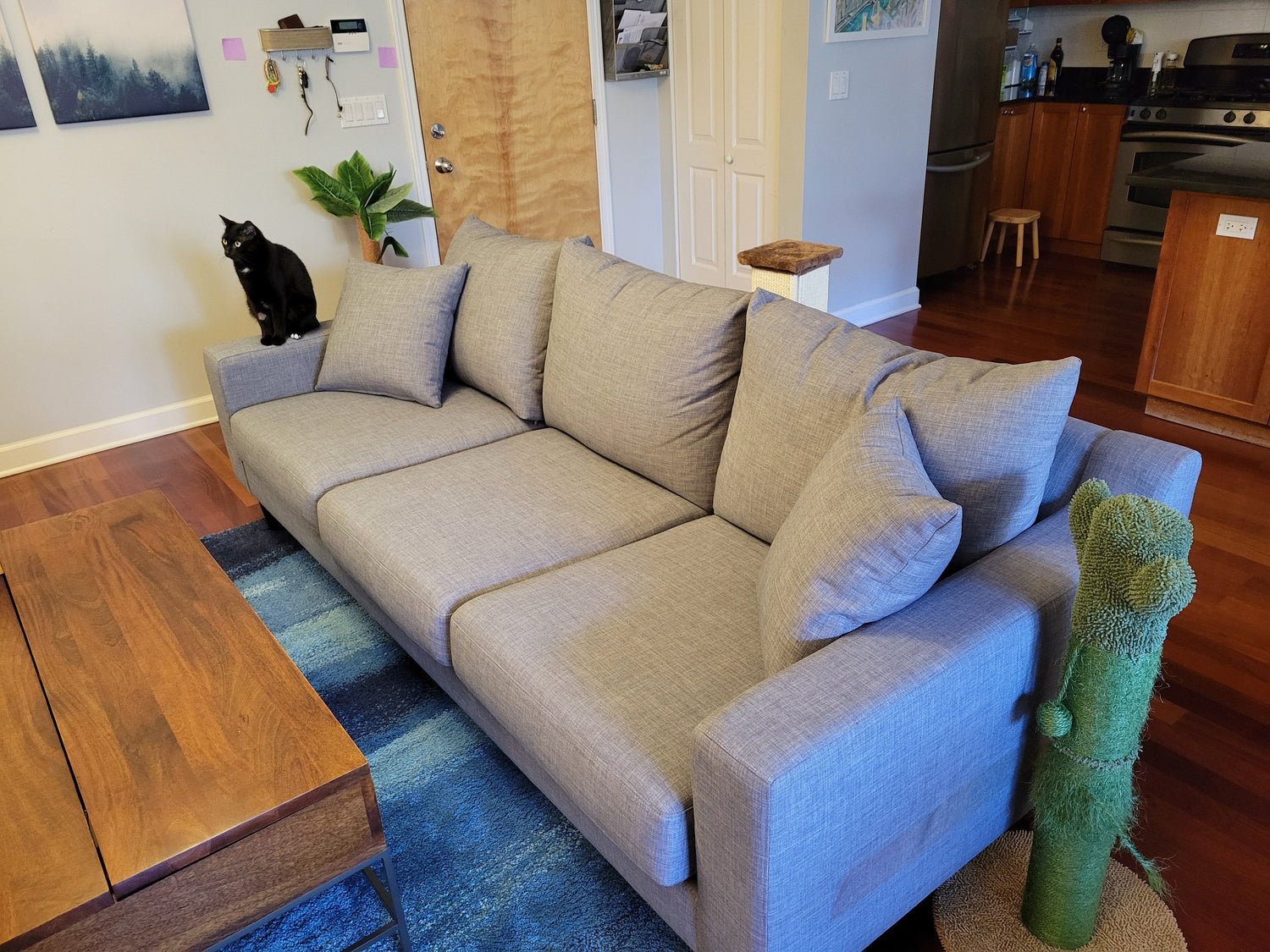 A gray cat sits on the arm of a large gray couch in a living room. The room features wooden floors, a wooden coffee table, a green cactus-shaped cat scratcher, and a kitchen in the background.