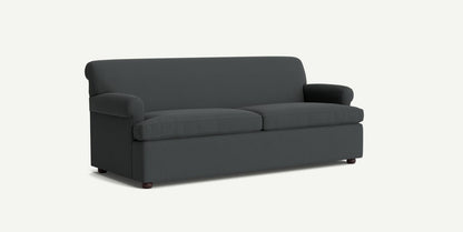 The Willoughby Sleeper Sofa, featuring a simple, modern design in dark gray, is displayed against a plain white background. It includes rounded armrests and two seat cushions.