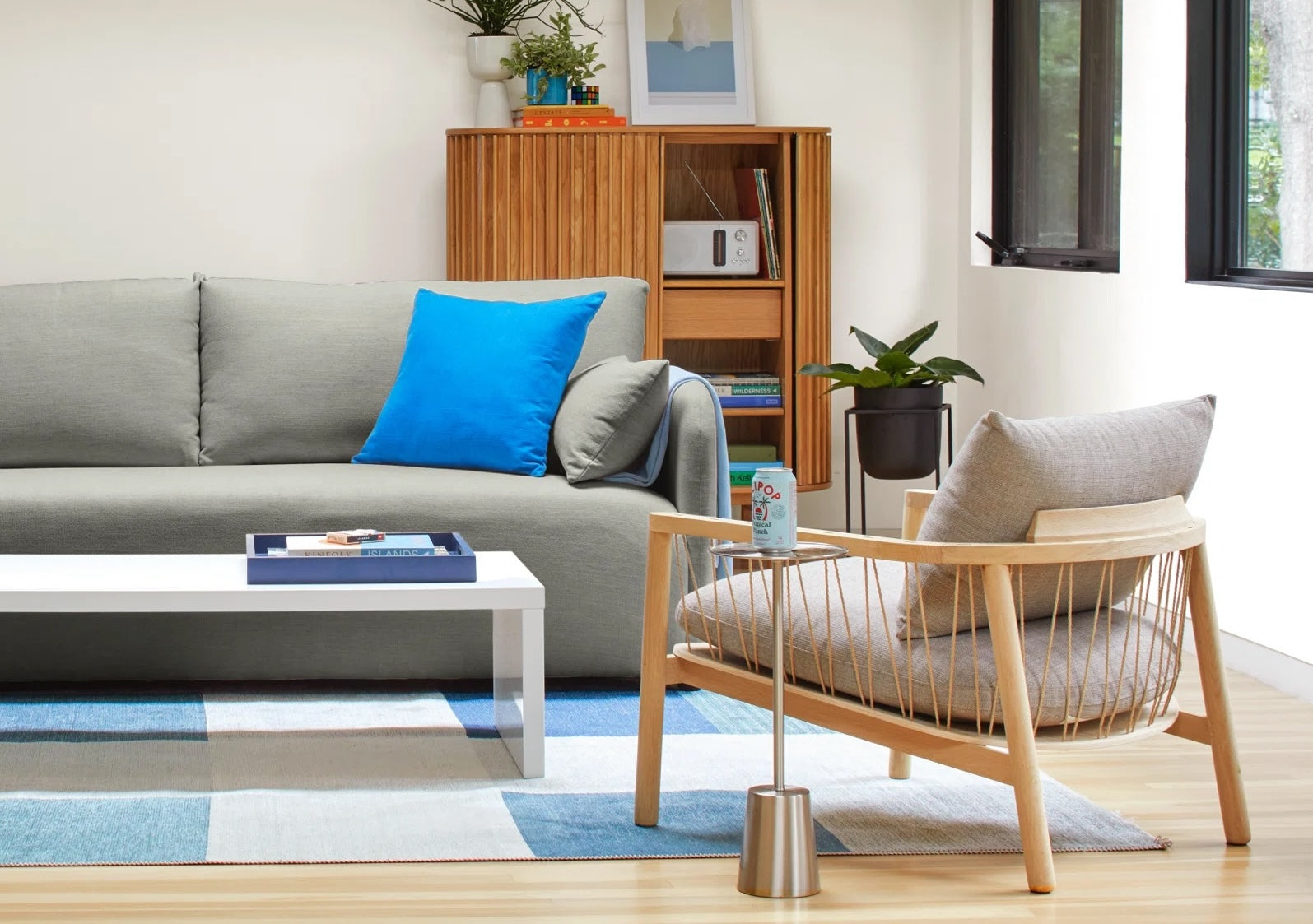 A modern living room with a gray sofa, accented by a blue pillow, and a wooden chair with gray cushions. A white coffee table sits on a blue and white patterned rug. There's a bookshelf in the back containing books and decor, alongside a green potted plant.