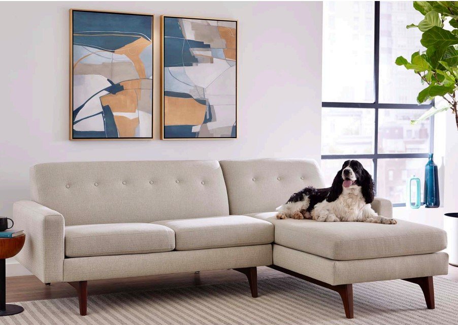 A cream-colored sectional sofa with a dog lying on the chaise section is in a modern living room. Two abstract paintings with blue and beige tones hang on the wall above the sofa. A large window and a green potted plant are visible in the background.