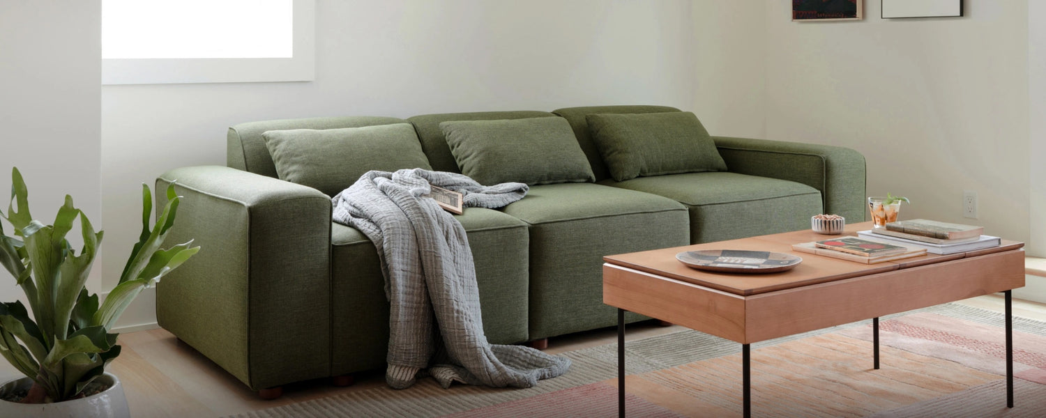 A living room features a green couch with three cushions and a gray blanket draped over one arm. In front of the couch is a wooden coffee table with a few books and small decorative items. A potted plant is positioned to the left of the couch.
