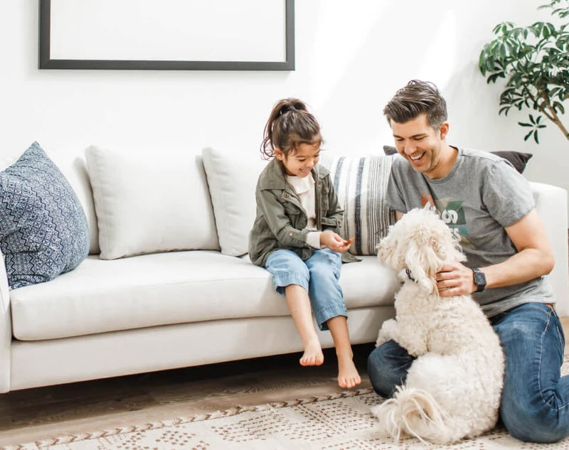 A young girl and a man sit on the floor beside a white couch in a bright living room. The girl, dressed in casual clothes, is smiling and looking at a fluffy white dog, while the man, also casually dressed, pets the dog. A potted plant is in the background.