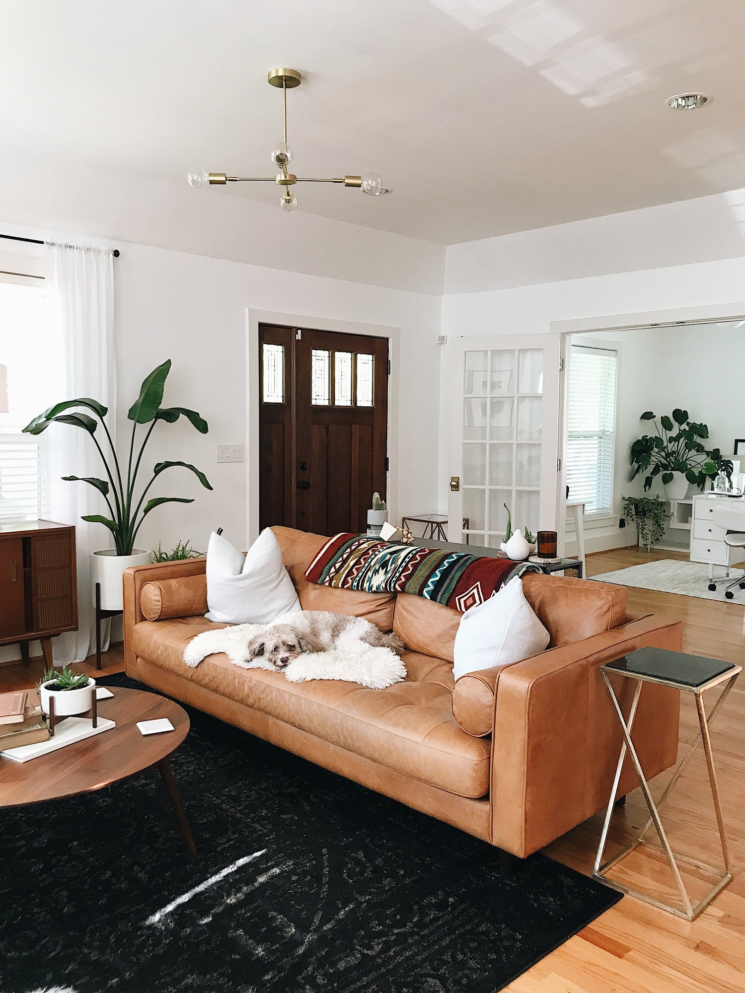 A cozy living room with a tan leather couch adorned with white and patterned pillows. A fluffy dog is lying on the couch. The room is decorated with plants, a round wooden coffee table, a black rug, and a modern light fixture. The space has white walls and wooden accents.