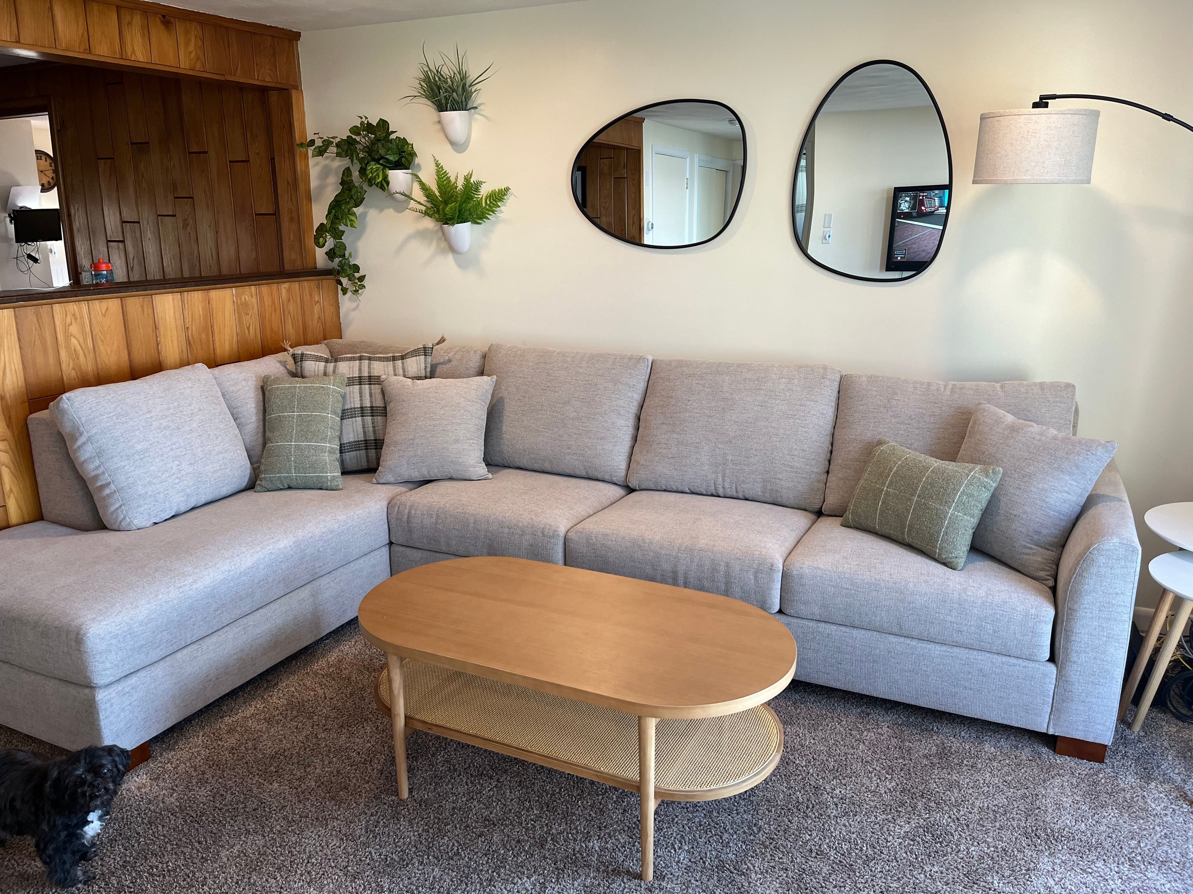 A cozy living room featuring a light gray sectional sofa with green cushions. Two oval mirrors and hanging plants decorate the wall. A wooden coffee table sits on the carpeted floor. A small dog is partially visible in the corner.