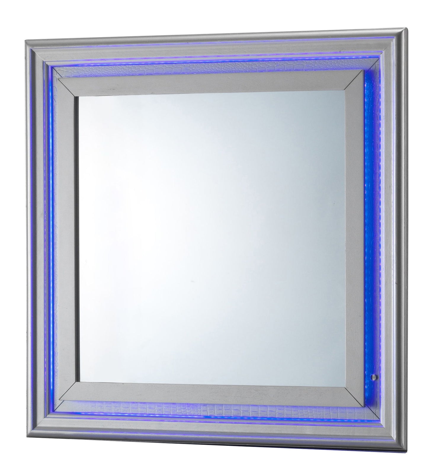 Elegant Transitional LED Mirror