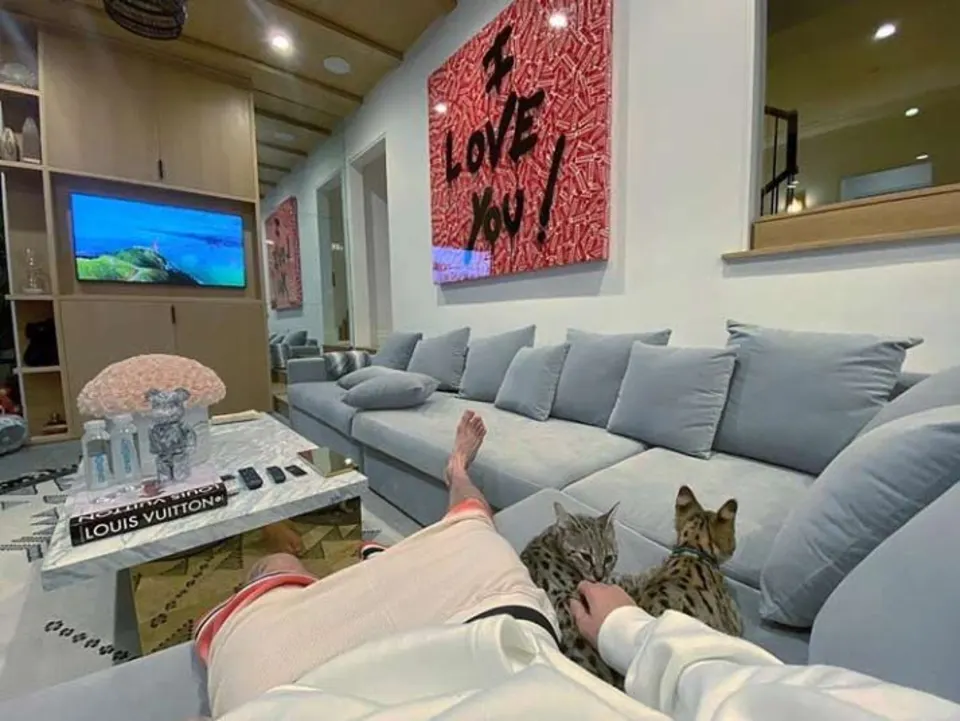 Justin Bieber Huge Modern Sectional Living Room